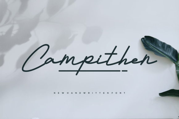 Campithen Font: A Designer’s Review for Campaigns