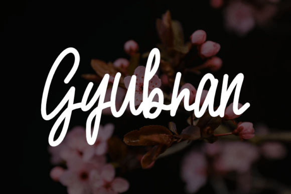 Gyubran: A Script Font for Polished Branding